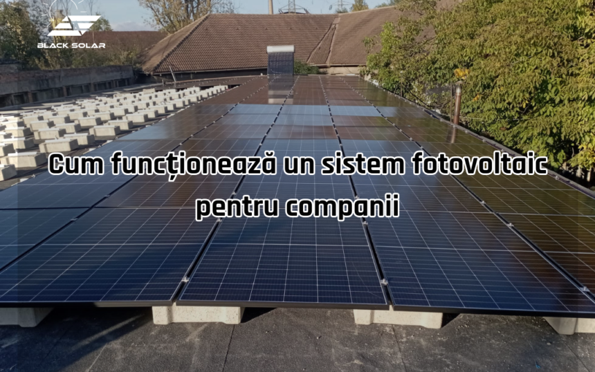 Cum funcționează un sistem fotovoltaic pentru companii
